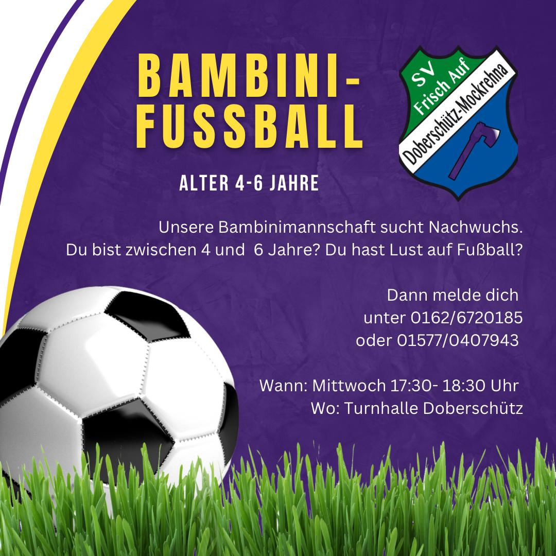 Suche Nachwuchs fr Bambinimannschaft Fußball